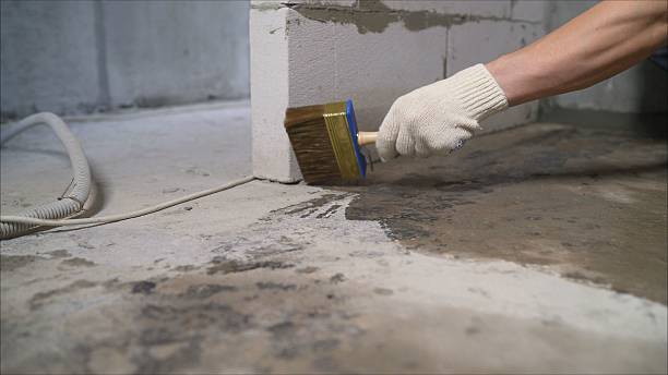SJ Waterproofing Pros Waterproofing coverage map for Little Falls, MN and surrounding area